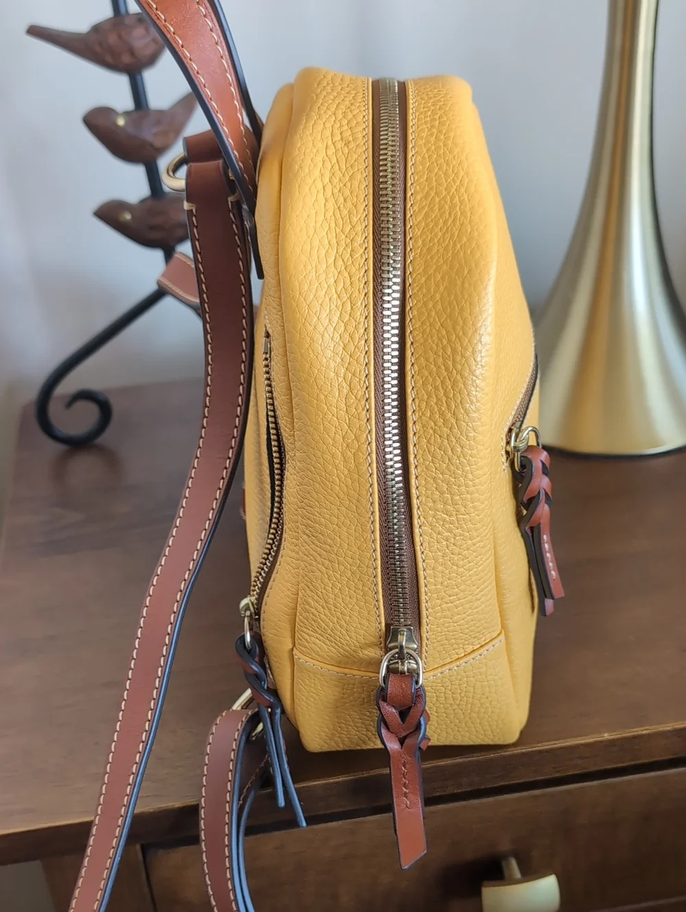 Dooney & Bourke signature interior